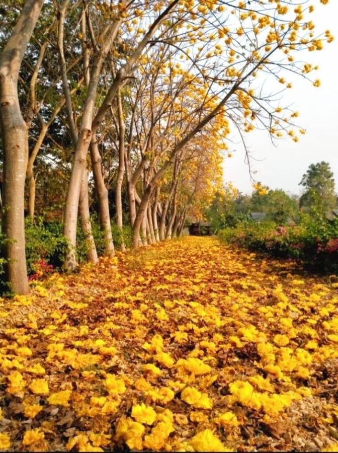 Denchai City Resort เด่นชัยซิตี้ รีสอร์ท Phrae Extérieur photo