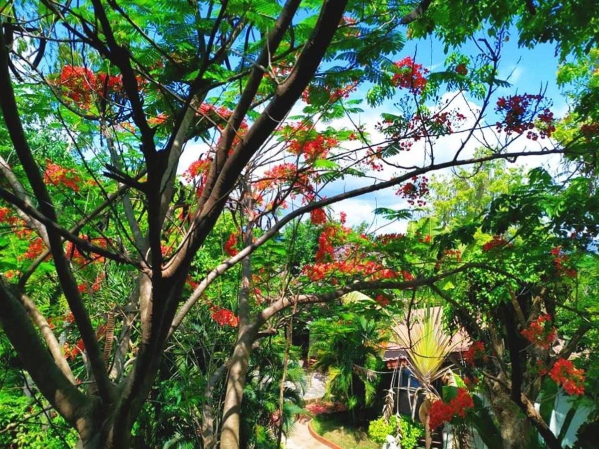 Denchai City Resort เด่นชัยซิตี้ รีสอร์ท Phrae Extérieur photo